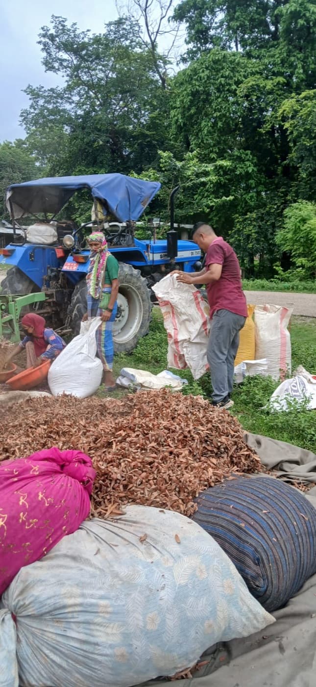 Graded raw material sorted before transport to the unit